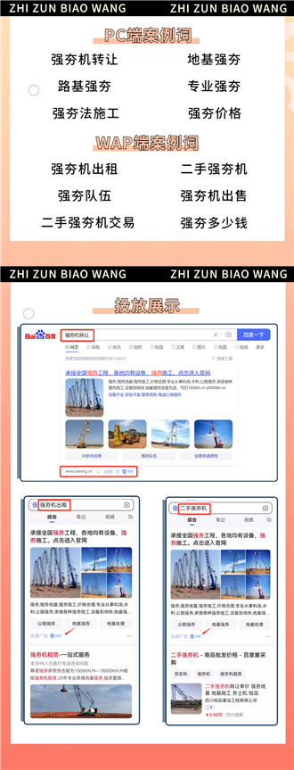 百度競價至尊標王案例